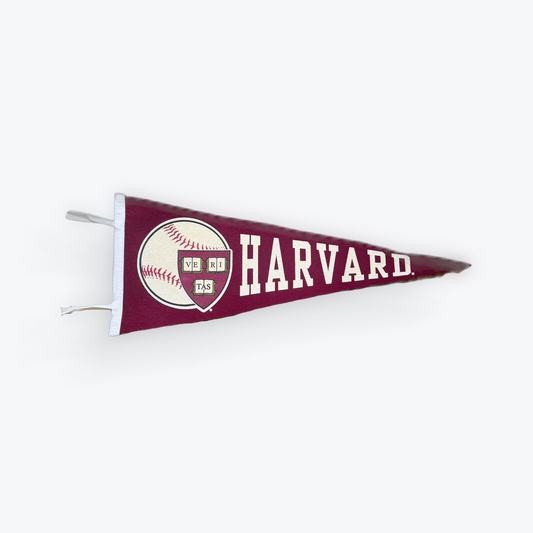 Vintage 90's Harvard University Pennant