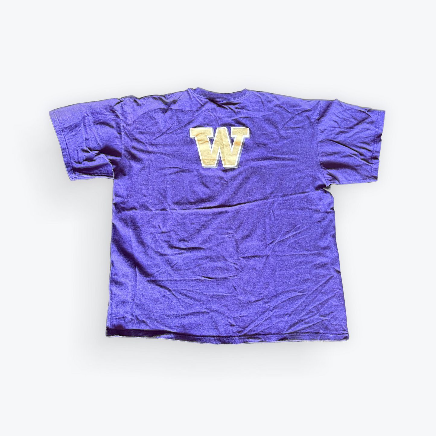 Vintage Y2K Nike Washington Huskies Tee