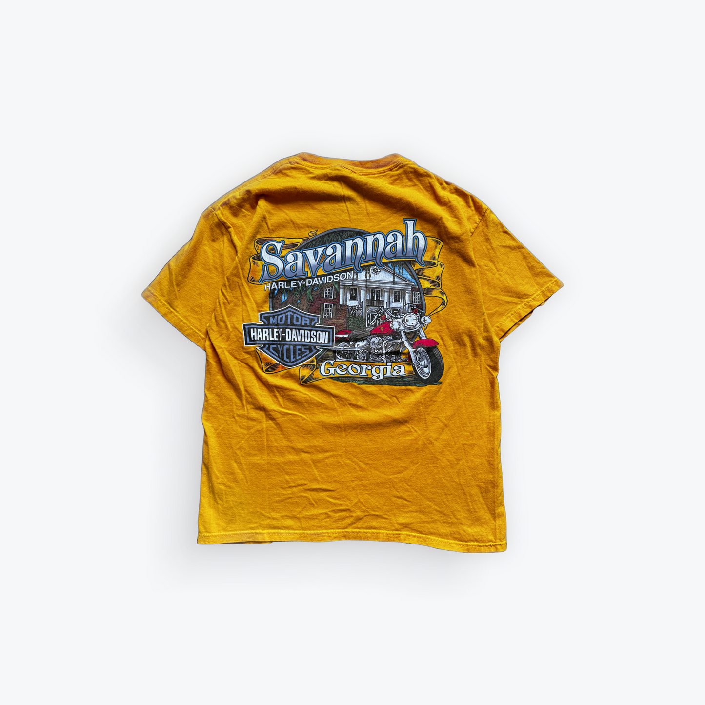 Vintage 2011 Harley Davidson Get Your Blood Pumpin' Savannah Georgia Shirt