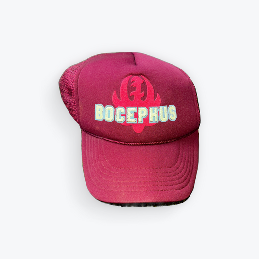 Vintage 90's Bocephus Hank Williams Trucker Snapback