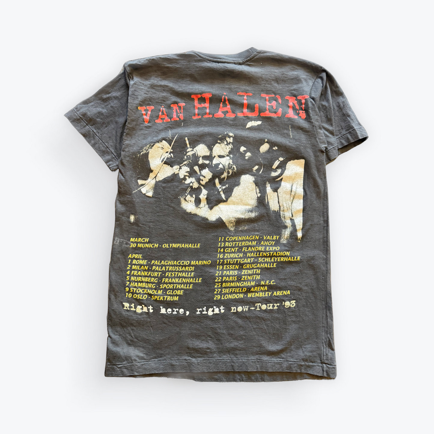 Vintage 1993 Van Halen Right Here, Right Now Tour Band Tee