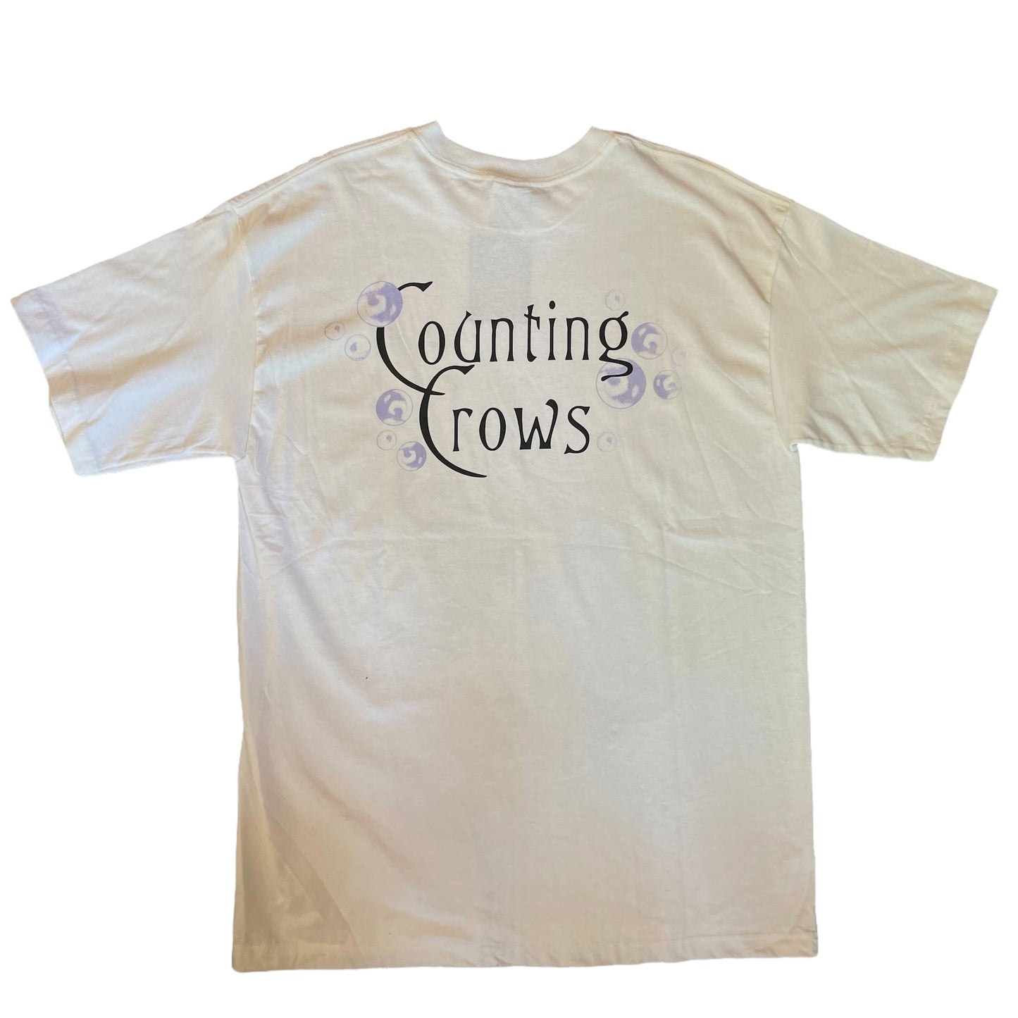 Vintage 1999 Counting Crows This Desert Life Band Shirt